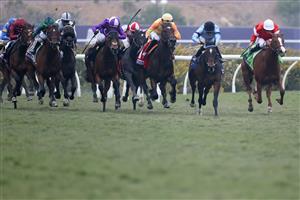 DEL MAR, CALIFORNIA - NOVEMBER 05: Jockey Jose Ortiz rides Pizza Bianca #1 to victory in the Breeders' Cup Juvenile Fillies Turf at Del Mar Race Track on November 05, 2021 in Del Mar, California. (Photo by Rob Carr/Getty Images)