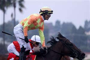 DEL MAR, CALIFORNIA - NOVEMBER 05: Jockey Jose Ortiz celebrates aboard Pizza Bianca after winning the Breeders' Cup Juvenile Fillies Turf at Del Mar Race Track on November 05, 2021 in Del Mar, California. (Photo by Rob Carr/Getty Images)