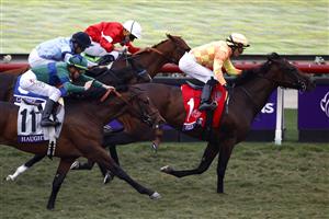 DEL MAR, CALIFORNIA - NOVEMBER 05: Jockey Jose Ortiz rides Pizza Bianca to win the Breeders' Cup Juvenile Fillies Turf raceat Del Mar Race Track on November 05, 2021 in Del Mar, California. (Photo by Sean M. Haffey/Getty Images)