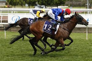 MELBOURNE, AUSTRALIA - NOVEMBER 06: Kerrin McEvoy riding #12 Bend The Knee wins race 4, The Amanda Elliott Handicap during 2021 Paramount+ Stakes Day at Flemington Racecourse on November 06, 2021 in Melbourne, Australia. (Photo by Darrian Traynor/Getty Images)