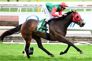 MELBOURNE, AUSTRALIA - NOVEMBER 06: Luke Nolen riding #8 Zayydani wins race 5, the TAB Matriarch Stakes during 2021 Paramount+ Stakes Day at Flemington Racecourse on November 06, 2021 in Melbourne, Australia. (Photo by Quinn Rooney/Getty Images)