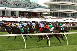 MELBOURNE, AUSTRALIA - NOVEMBER 06: Luke Nolen riding #8 Zayydani leads the field to win race 5, the TAB Matriarch Stakes during 2021 Paramount+ Stakes Day at Flemington Racecourse on November 06, 2021 in Melbourne, Australia. (Photo by Robert Cianflone/Getty Images)