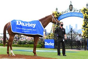MELBOURNE, AUSTRALIA - NOVEMBER 06: Nature Strip after winning race 6, the Darley Sprint Classic, during 2021 Paramount + Stakes Day at Flemington Racecourse on November 06, 2021 in Melbourne, Australia. (Photo by Vince Caligiuri/Getty Images)