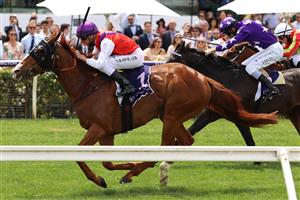 MELBOURNE, AUSTRALIA - NOVEMBER 06: Nash Rawiller riding #1 Warning wins race 2, the Queen Elizabeth Stakes during 2021 Paramount+ Stakes Day at Flemington Racecourse on November 06, 2021 in Melbourne, Australia. (Photo by Robert Cianflone/Getty Images)