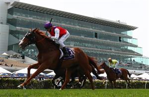 MELBOURNE, AUSTRALIA - NOVEMBER 06: Nash Rawiller riding #1 Warning wins race 2, the Queen Elizabeth Stakes during 2021 Paramount + Stakes Day at Flemington Racecourse on November 06, 2021 in Melbourne, Australia. (Photo by Robert Cianflone/Getty Images)