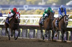 DEL MAR, CALIFORNIA - NOVEMBER 06: Jockey Oisin Murphy rides Marche Lorraine to win the Breeders' Cup Distaff at Del Mar Race Track on November 06, 2021 in Del Mar, California. (Photo by Sean M. Haffey/Getty Images)