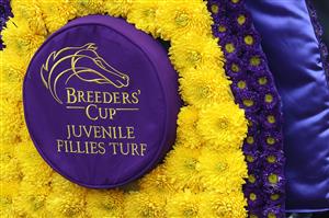 DEL MAR, CALIFORNIA - NOVEMBER 05: A detail of the winning saddle blanket given to Pizza Bianca after the horse won the Breeders' Cup Juvenile Fillies Turf at Del Mar Race Track on November 05, 2021 in Del Mar, California. (Photo by Rob Carr/Getty Images)