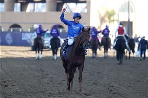 DEL MAR, CALIFORNIA - NOVEMBER 06: Jockey William Buick celebrates aboard Yibir after winning the Breeders' Cup Turf at Del Mar Race Track on November 06, 2021 in Del Mar, California. (Photo by Rob Carr/Getty Images)
