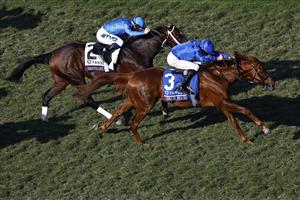 DEL MAR, CALIFORNIA - NOVEMBER 06: Jockey William Buick rides Space Blues to win the Breeders' Cup Mile at Del Mar Race Track on November 06, 2021 in Del Mar, California. (Photo by Sean M. Haffey/Getty Images)