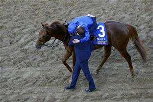 DEL MAR, CALIFORNIA - NOVEMBER 06: Jockey William Buick reacts after riding Space Blues to win the Breeders' Cup Mile at Del Mar Race Track on November 06, 2021 in Del Mar, California. (Photo by Sean M. Haffey/Getty Images)