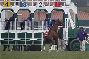 DEL MAR, CALIFORNIA - NOVEMBER 05: Jockey William Buick rides Modern Games after Albahr in the two hole wouldn't load into the starting gate before the start of the Breeders' Cup Juvenile Turf at Del Mar Race Track on November 05, 2021 in Del Mar, California. (Photo by Rob Carr/Getty Images)