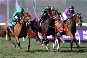 DEL MAR, CALIFORNIA - NOVEMBER 06: Jockey Yuga Kawada rides Loves Only You to victory in the Breeders' Cup Filly & Mare Turf at Del Mar Race Track on November 06, 2021 in Del Mar, California. (Photo by Rob Carr/Getty Images)