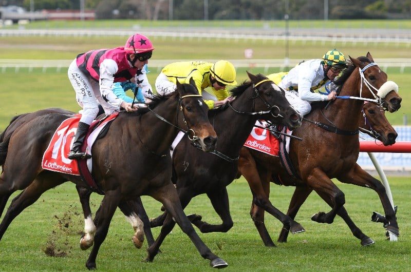 Donald Betting Tips