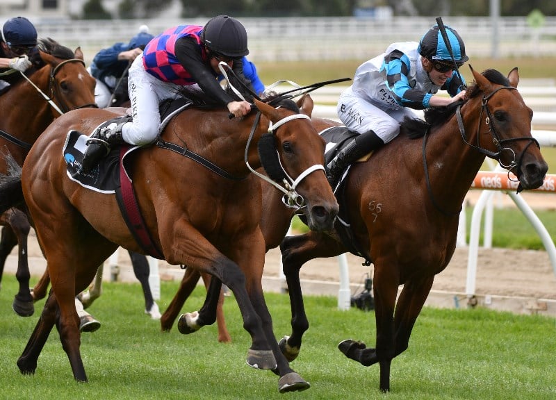 Railway Stakes Betting Odds
