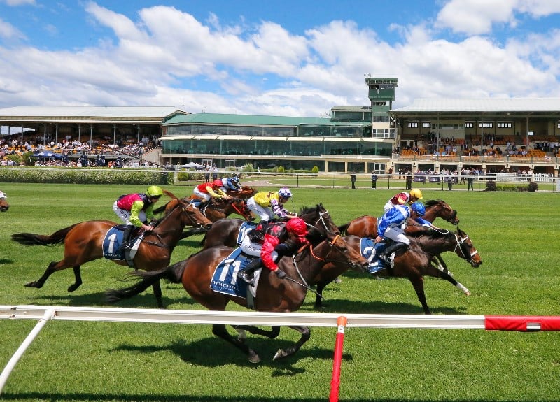 Saturday Blackbookers from November 13