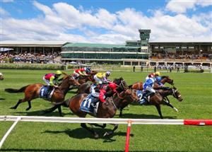Saturday Blackbookers from November 13