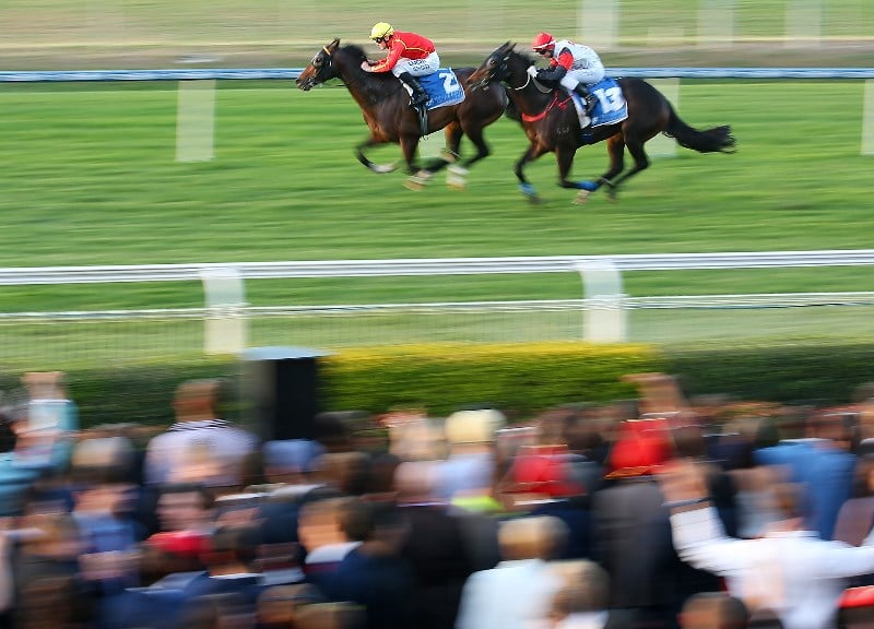 Rockhampton Betting Tips