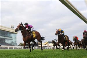 Railway Stakes Tips & Runner-By-Runner Preview