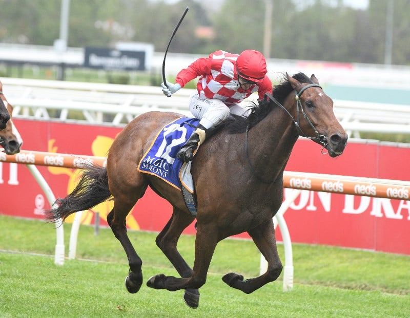 Big Bets for 20.11.2021