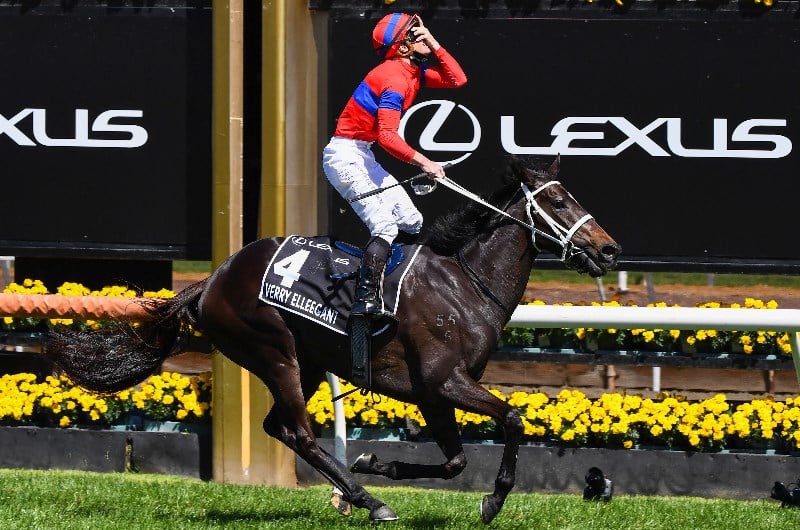 Melbourne Cup Betting Odds