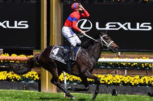 Kyneton cup bettingadvice please explain cryptocurrency