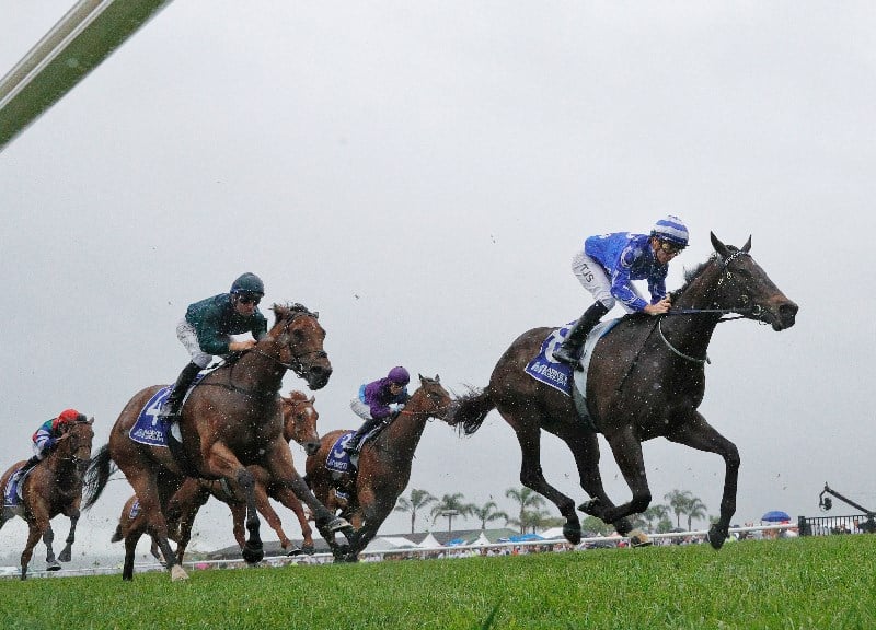 Kembla Grange Highlights for 20.11.2021