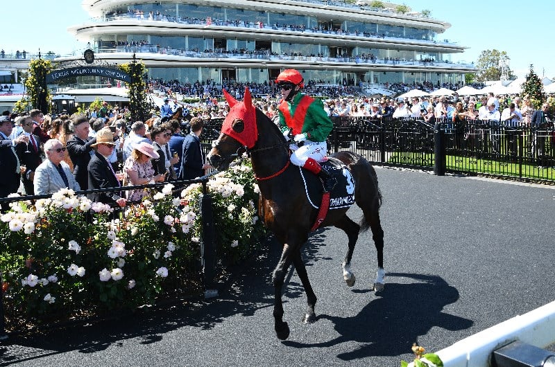 Zipping Classic Odds