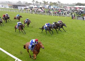 Saturday Blackbookers from November 20