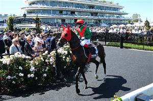 Zipping Classic Betting Odds - Spanish Mission dominates the market