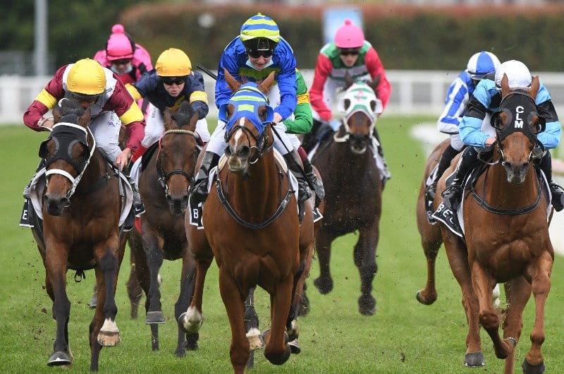 Jericho Cup Field