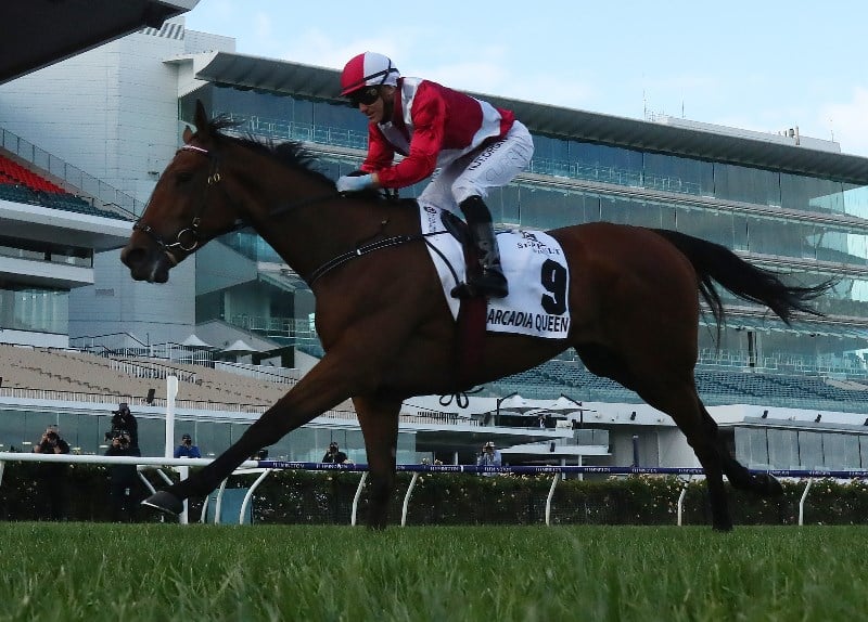 Kingston Town Classic Betting Odds