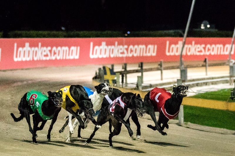 Melbourne Cup 515m Tips