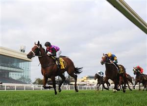 Winterbottom Stakes 2021 Barrier Draw & Final Field