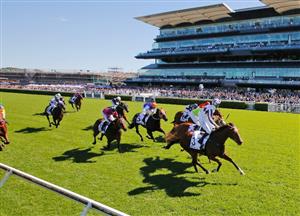 country championships dates