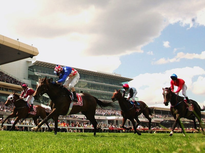 Makybe Diva niece -news