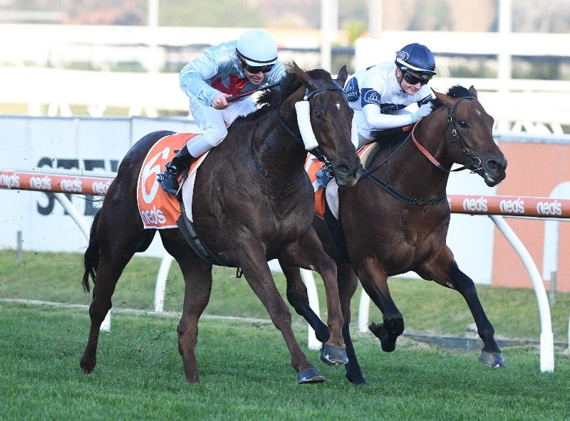 Winterbottom Stakes Tips