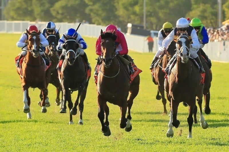 Wyong Racing Tips for 10.03.2020