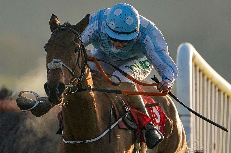 honeysuckle fairyhouse