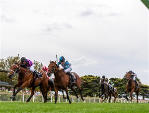 Winterbottom Stakes Tips & Runner-By-Runner Preview