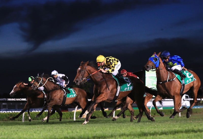 Canterbury Tips for 26.11.2021
