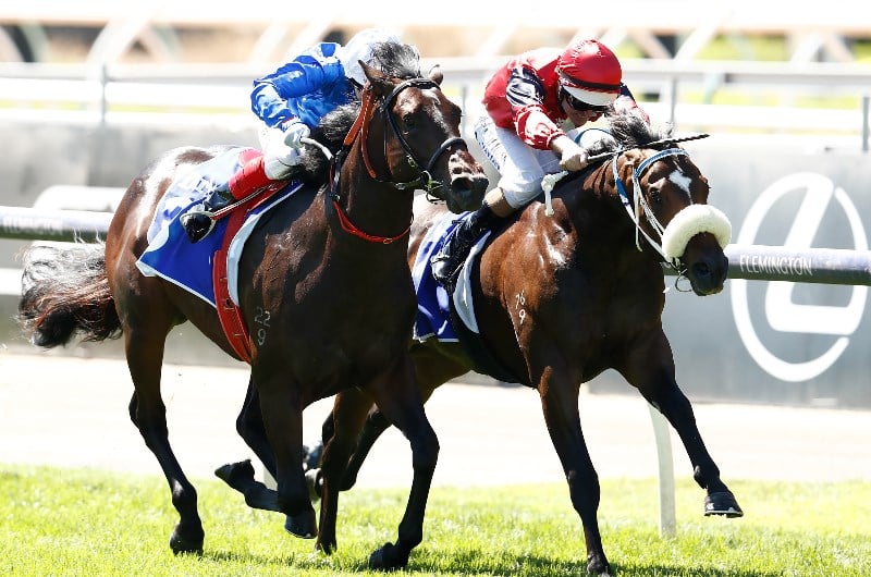 Caulfield Betting Tips