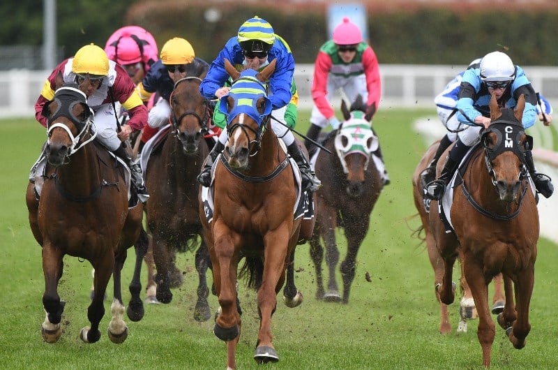 Jericho Cup Tips