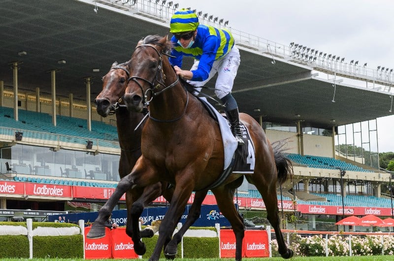 Moonee Valley Betting Tips