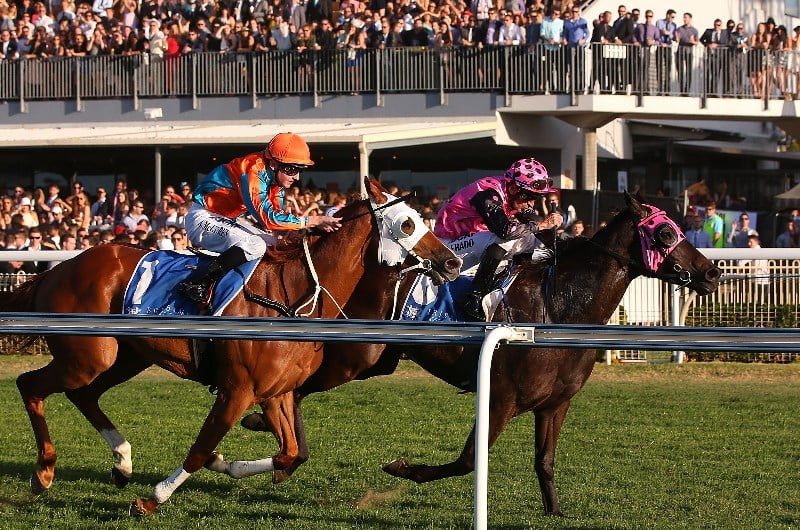 Sunshine Coast Betting Tips