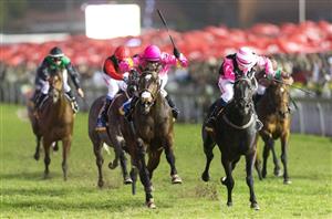 greyville races