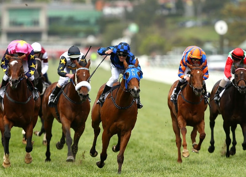 Ascot Tips for 27.11.2021