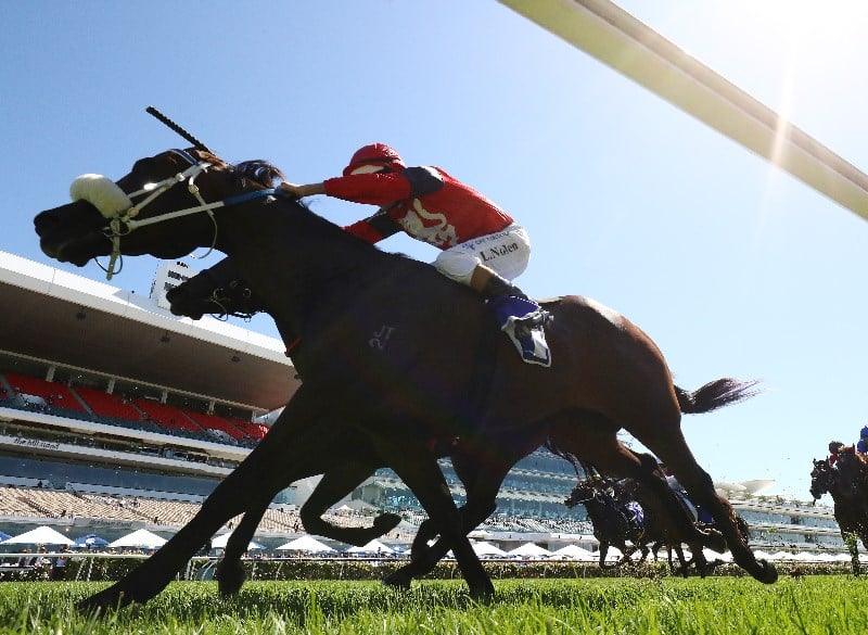 Big Bets for 27.11.2021