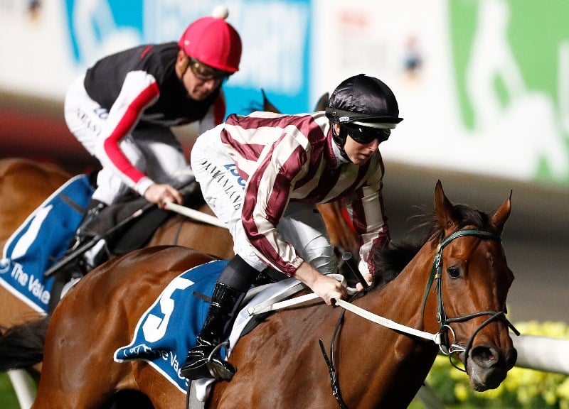 Morphettville Tips for 26.11.2021