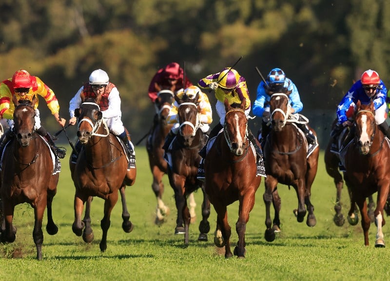 Rosehill Tips for 27.11.2021