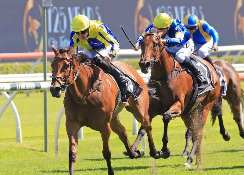 TAB Offer - Rosehill